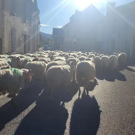 Maison de campagne Hébergement de vacances Issor
