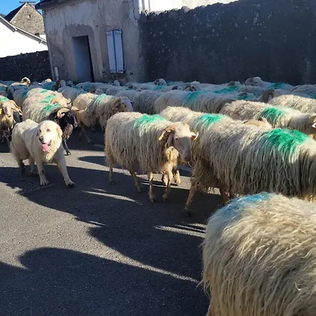 Hébergement de vacances Maison de campagne Issor