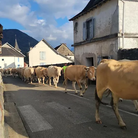 Hébergement de vacances Maison de campagne