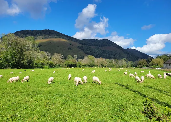 Maison De Campagne 度假居 Issor