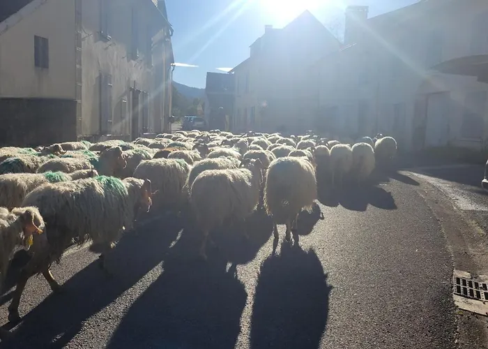 Maison De Campagne 度假居 Issor