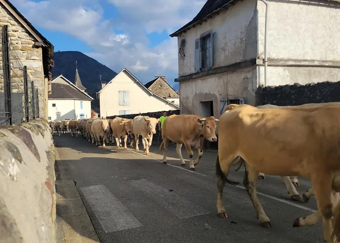 度假居 Maison De Campagne